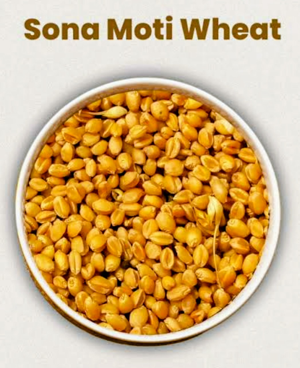 sonamoti wheat. pre order available.