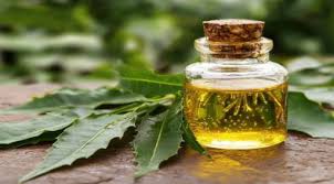 Neem Oil for plants
