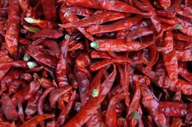 Red Chilli Badiga. pre order avaolable