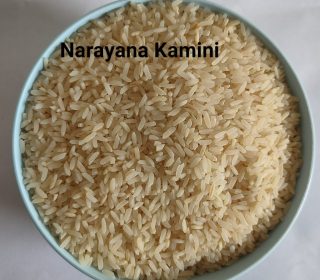 Narayana Kamini (Single Unpolished | 12 months old)