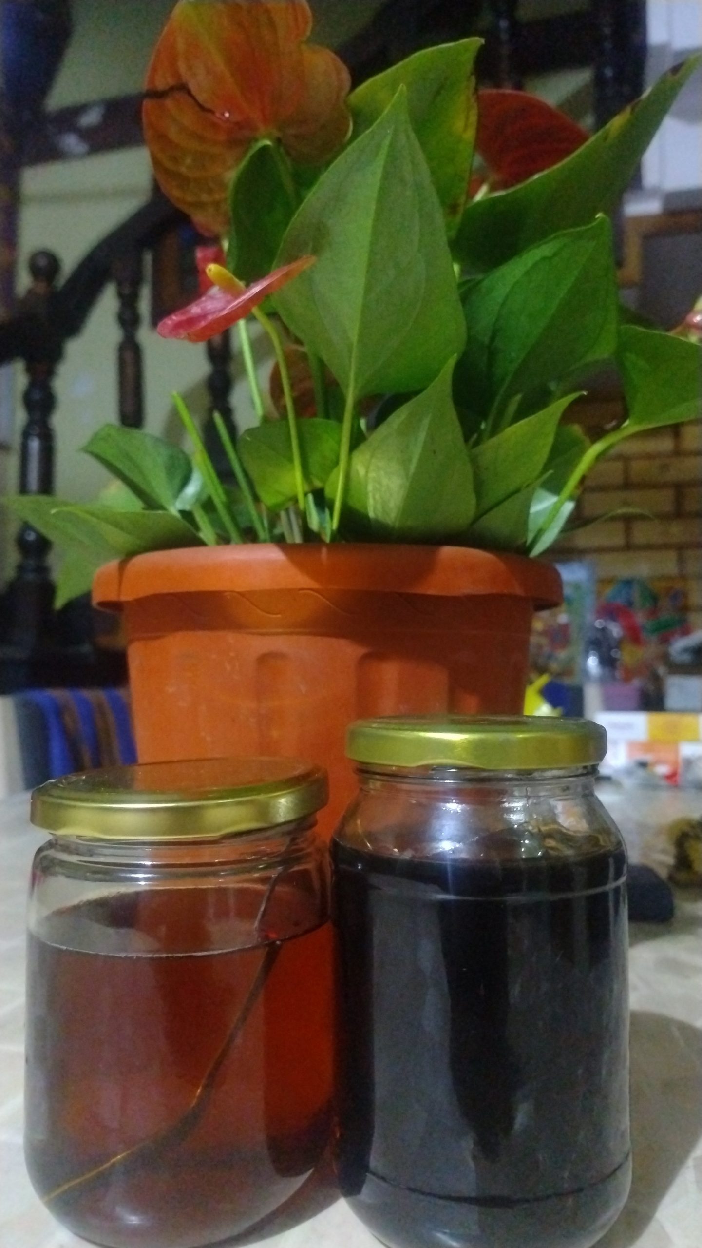 black hony.black forest no stock - Image 2
