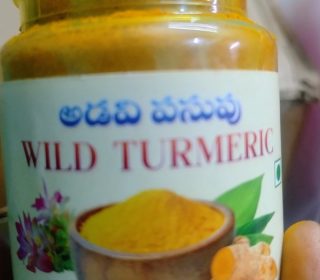 దుంప పసుపు, అడవి పసుపు