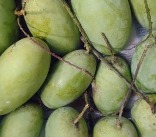 చెరుకు రసాలు