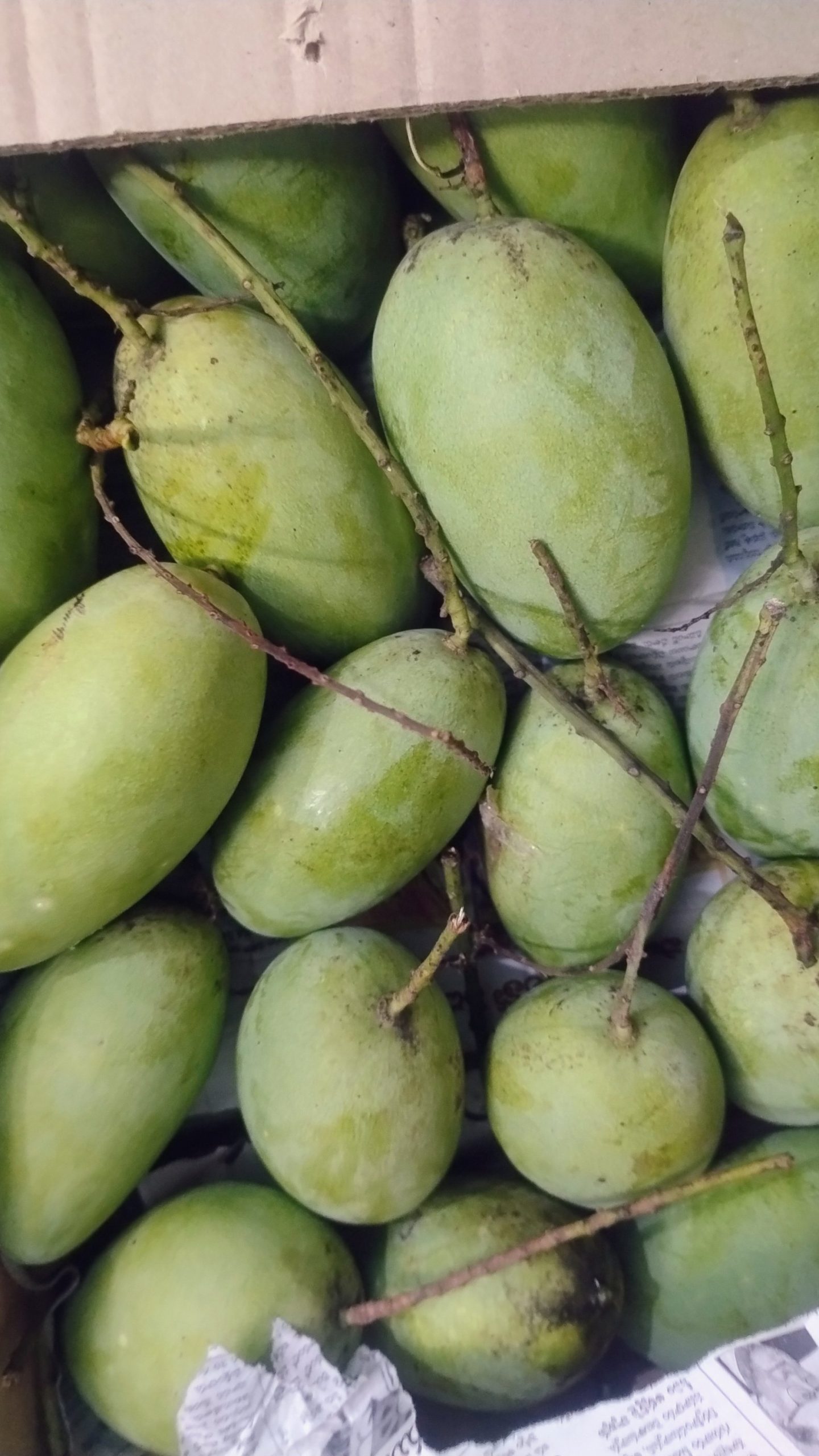 చెరుకు రసాలు