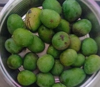 kothapalli కొబ్బరి ప్యూర్ &fresh