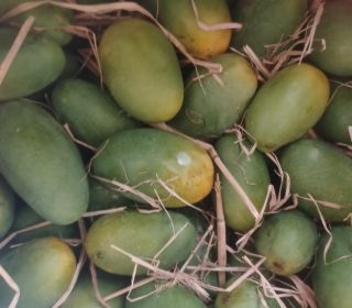 daseri mango . tasty spl mamgo
మినిమం క్వాంటిటీ 5kg pre order direct farm to home