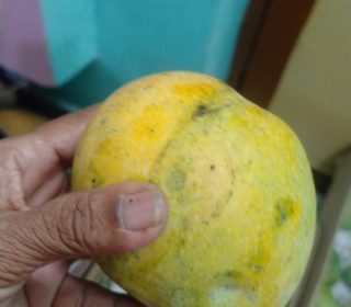 "0" chemical  banginapalli mango. pure&fresh