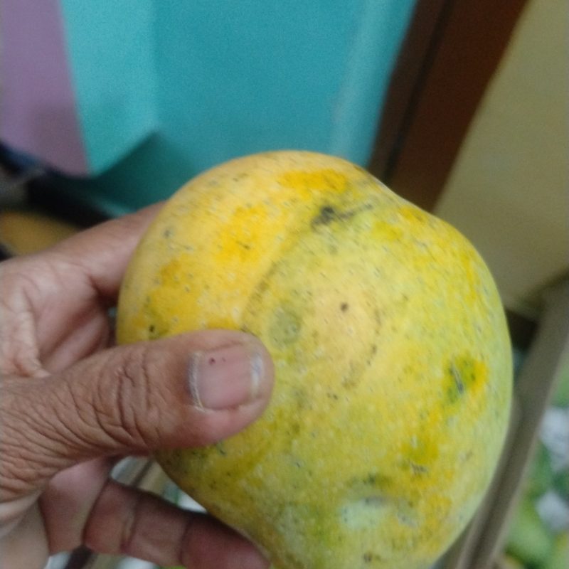 "0" chemical  banginapalli mango. pure&fresh