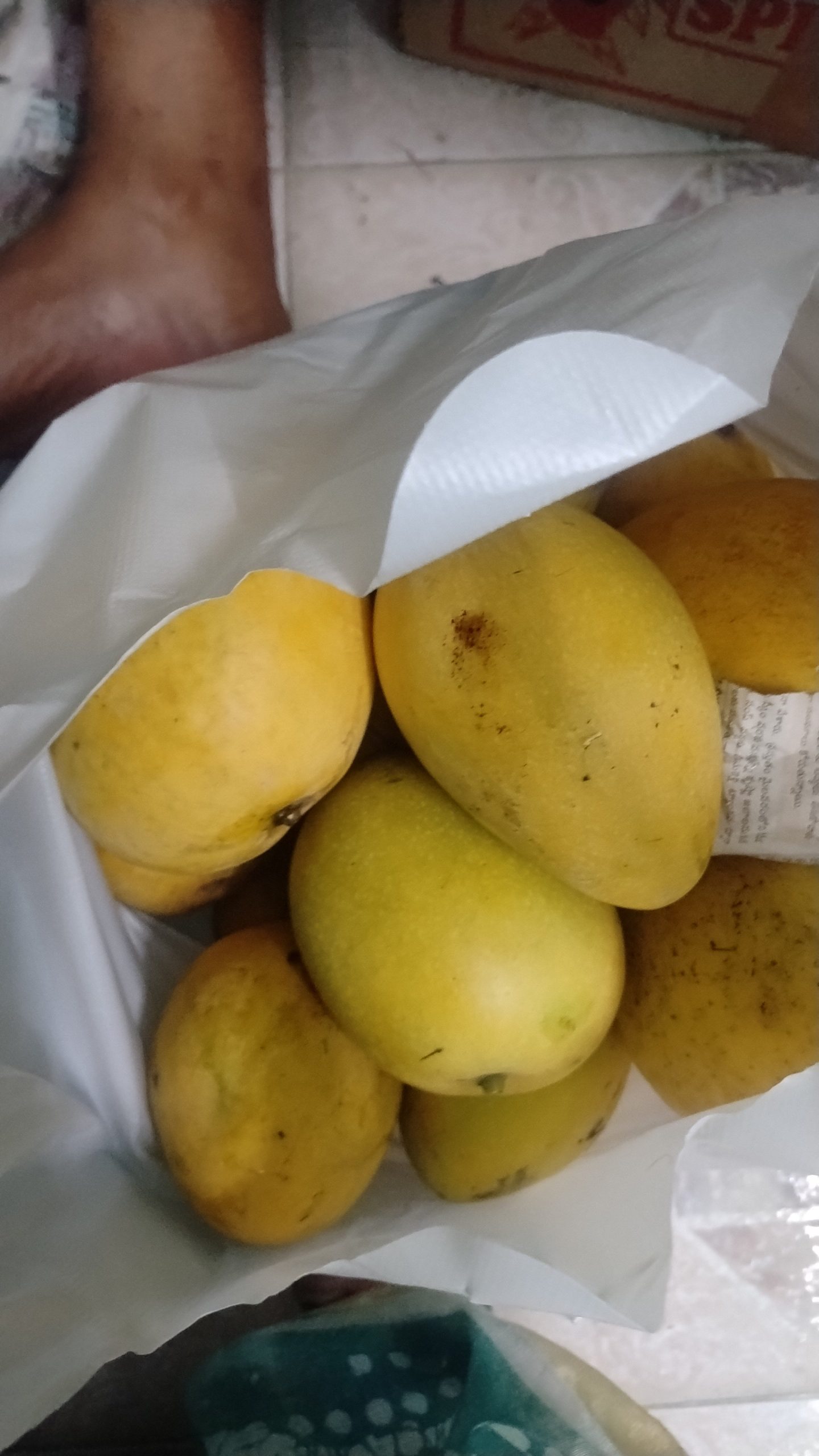 5kg minimum "0" chemical true &trusted
vulavapadu mango late గా వస్తుంది. కానీ taste లో వక spl. బాగా ripe అయిన మాంగో టేస్ట్ ఎక్కువ. - Image 2